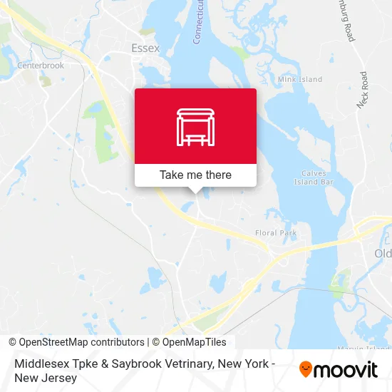 Middlesex Tpke & Saybrook Vetrinary map
