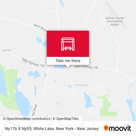 Ny17b X Ny55, White Lake map