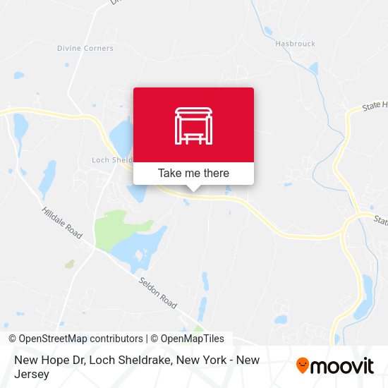 Mapa de New Hope Dr, Loch Sheldrake