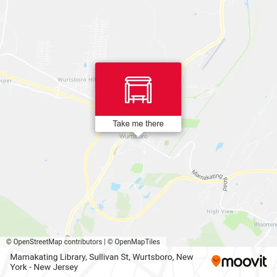 Mamakating Library, Sullivan St, Wurtsboro map