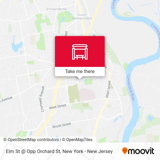 Elm St @ Opp Orchard St map