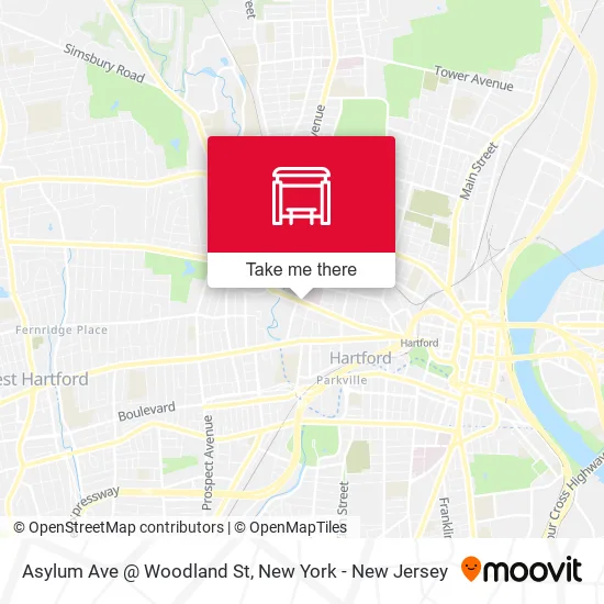 Mapa de Asylum Ave @ Woodland St