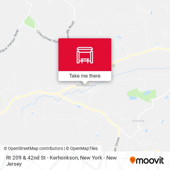 Rt 209 & 42nd St - Kerhonkson map