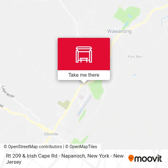 Rt 209 & Irish Cape Rd - Napanoch map