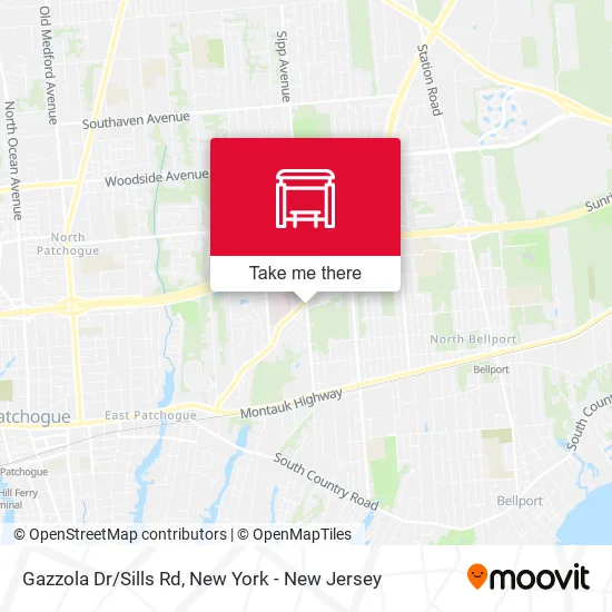 Gazzola Dr/Sills Rd map