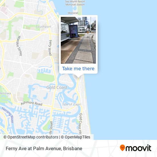 Ferny Ave at Palm Avenue map