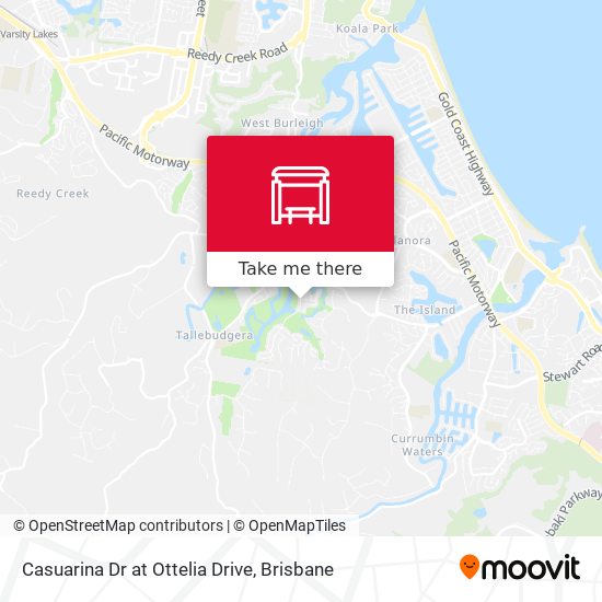 Casuarina Dr at Ottelia Drive map