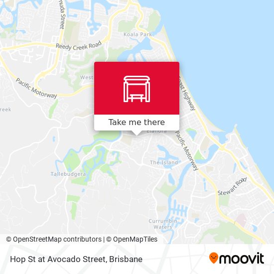 Hop St at Avocado Street map