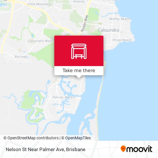 Nelson St Near Palmer Ave map