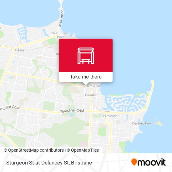 Sturgeon St at Delancey St map
