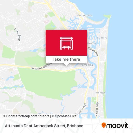 Attenuata Dr at Amberjack Street map