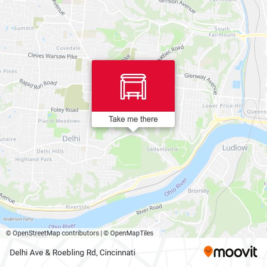 Delhi Ave & Roebling Rd map