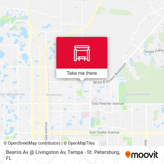 Bearss Av @ Livingston Av map