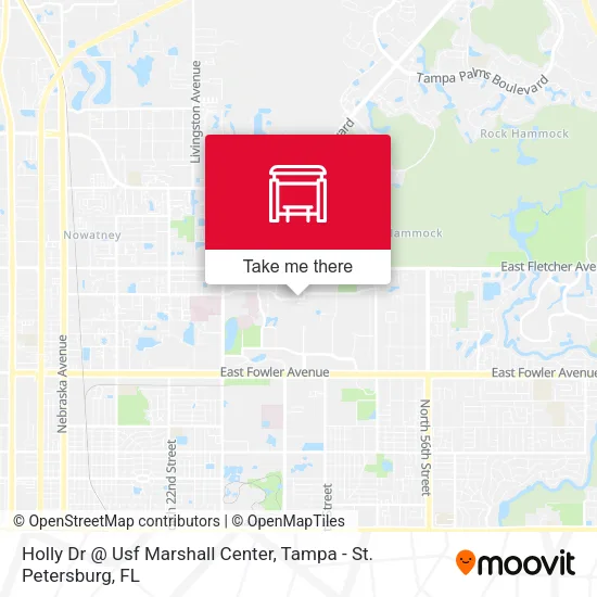 Mapa de Holly Dr @ Usf Marshall Center
