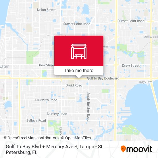 Gulf To Bay Blvd + Mercury Ave S map
