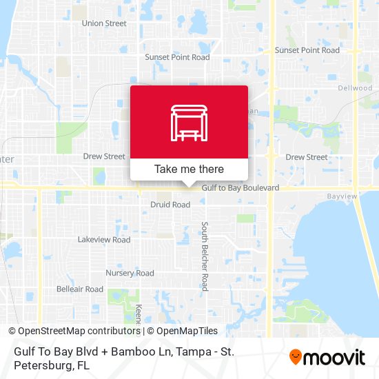 Mapa de Gulf To Bay Blvd + Bamboo Ln