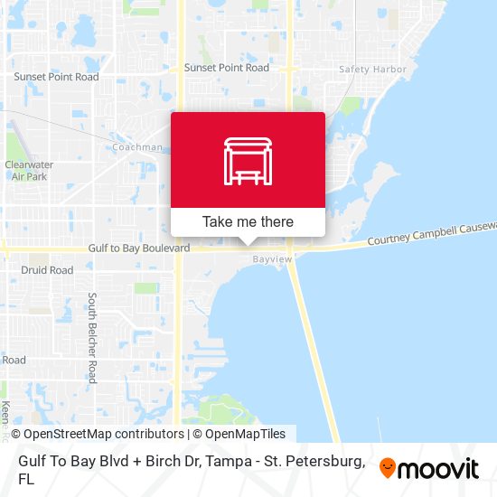 Gulf To Bay Blvd + Birch Dr map