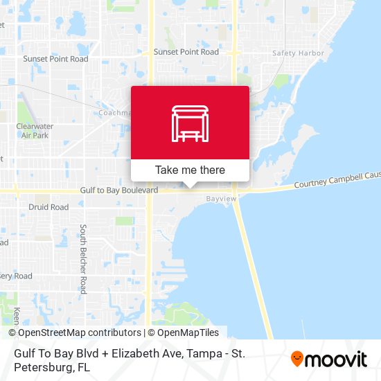 Gulf To Bay Blvd + Elizabeth Ave map