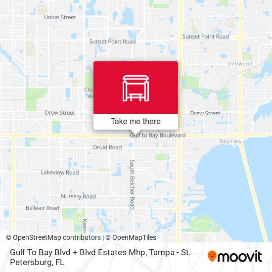 Gulf To Bay Blvd + Blvd Estates Mhp map