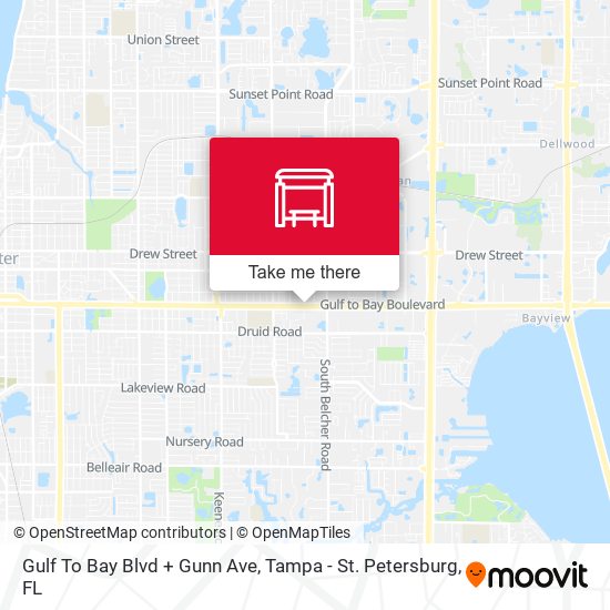 Gulf To Bay Blvd + Gunn Ave map