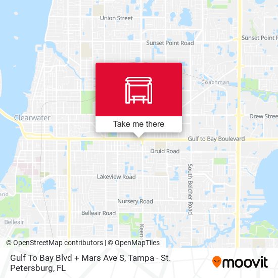 Gulf To Bay Blvd + Mars Ave S map