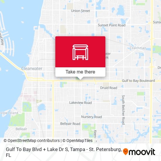 Gulf To Bay Blvd + Lake Dr S map