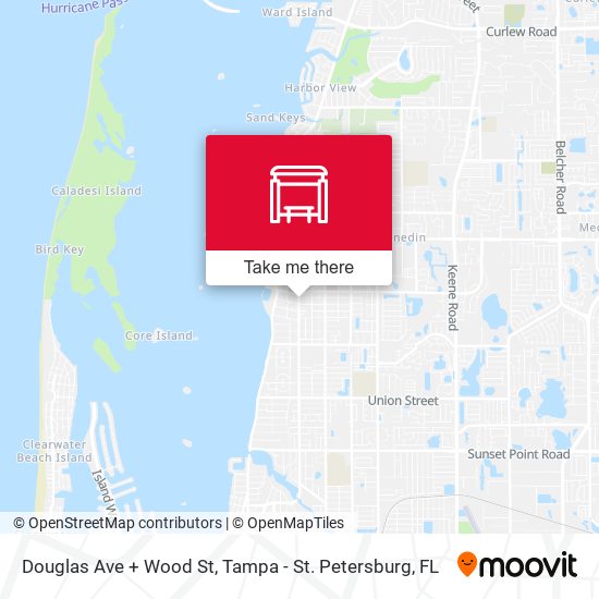 Douglas Ave + Wood St map