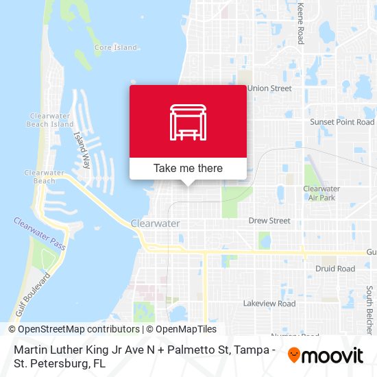 Martin Luther King Jr Ave N + Palmetto St map