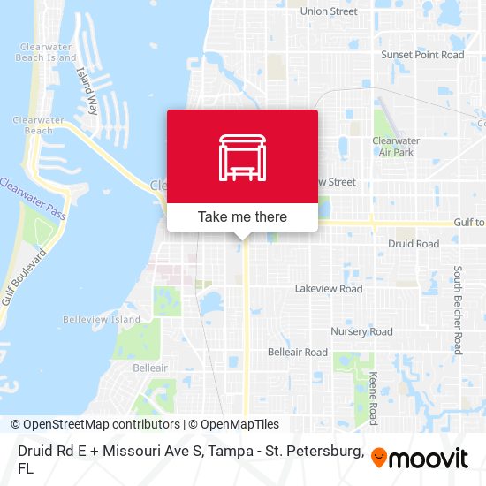 Mapa de Druid Rd E + Missouri Ave S