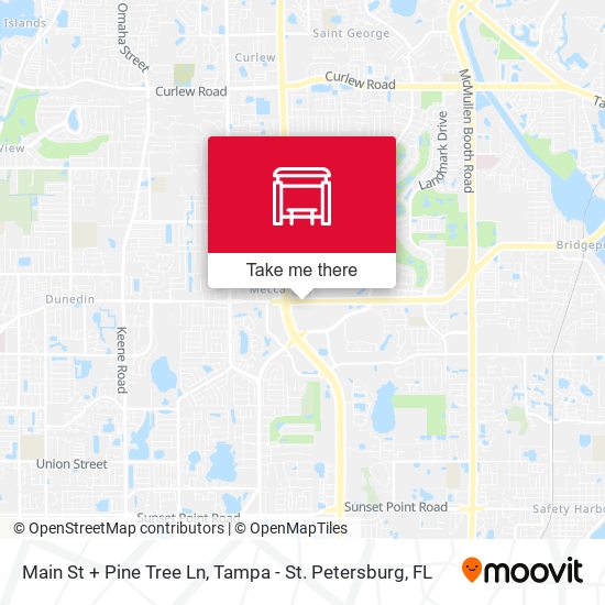 Main St + Pine Tree Ln map