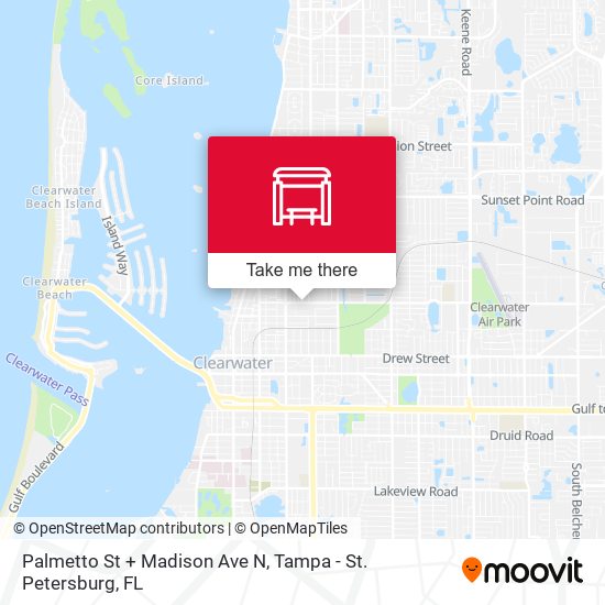 Palmetto St + Madison Ave N map