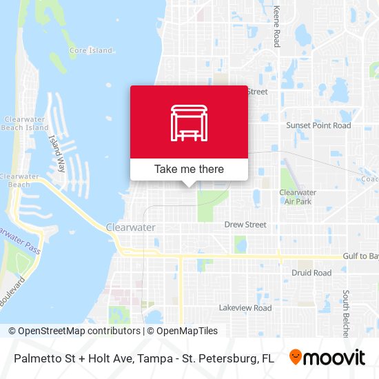 Palmetto St + Holt Ave map