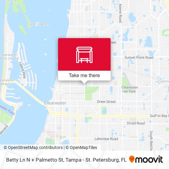 Betty Ln N + Palmetto St map
