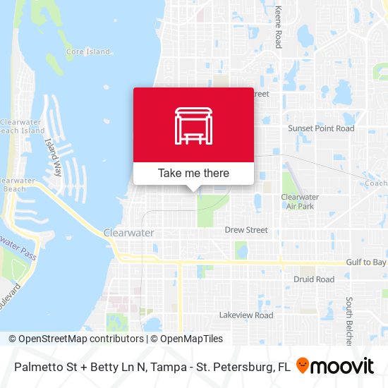 Palmetto St + Betty Ln N map