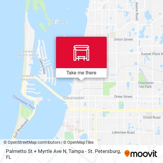 Palmetto St + Myrtle Ave N map