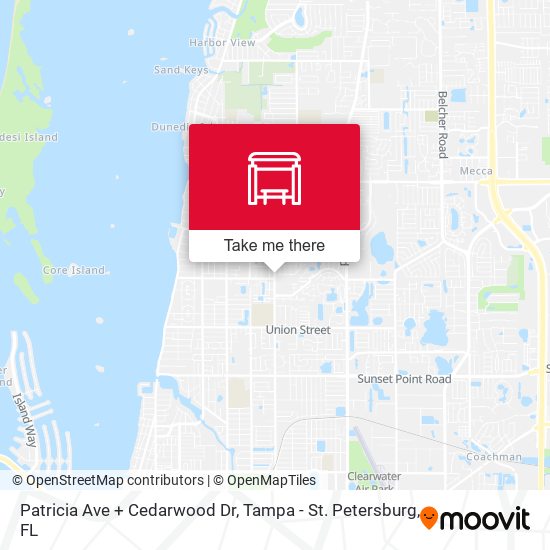 Patricia Ave + Cedarwood Dr map