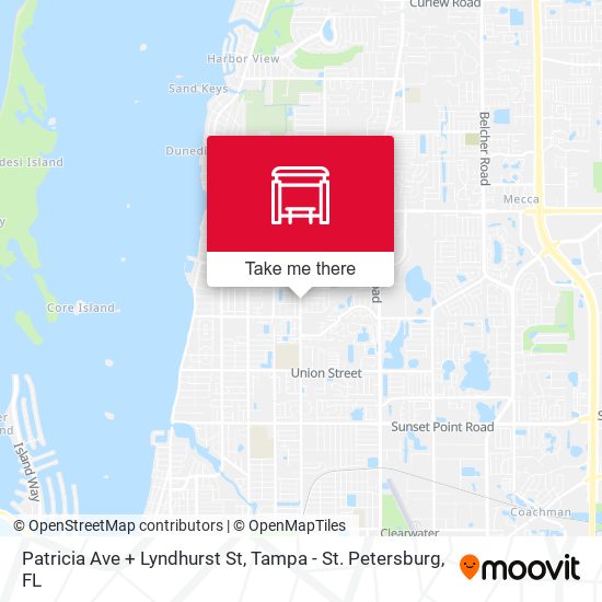 Patricia Ave + Lyndhurst St map