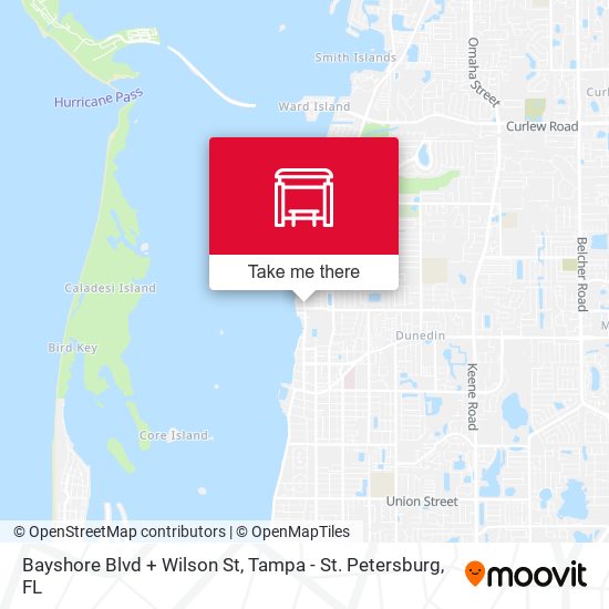 Bayshore Blvd + Wilson St map