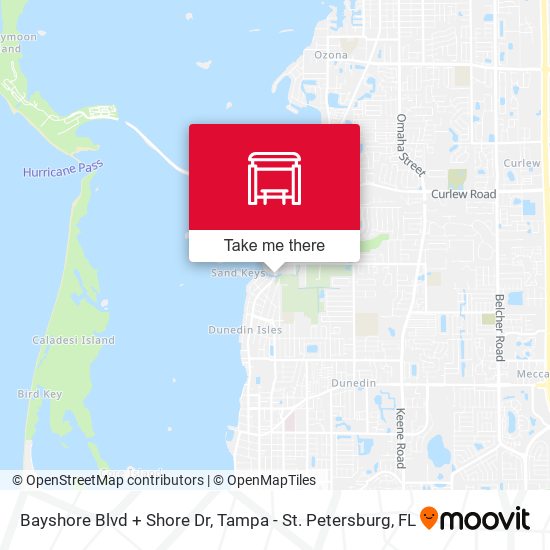 Bayshore Blvd + Shore Dr map