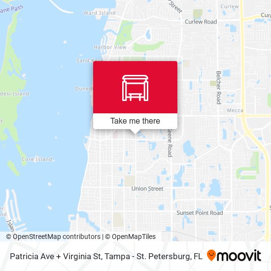 Patricia Ave + Virginia St map