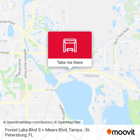 Forest Lake Blvd S + Mears Blvd map