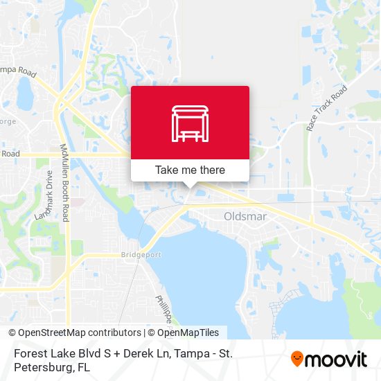 Mapa de Forest Lake Blvd S + Derek Ln