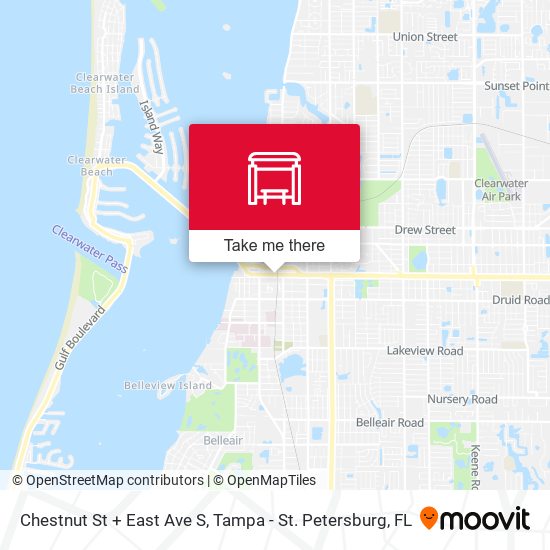 Mapa de Chestnut St + East Ave S