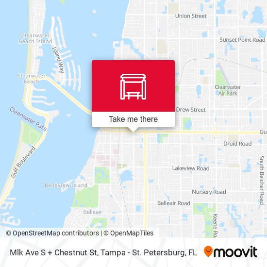 Mlk Ave S + Chestnut St map