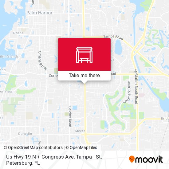 Mapa de Us Hwy 19 N + Congress Ave