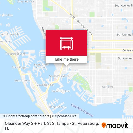 Oleander Way S + Park St S map