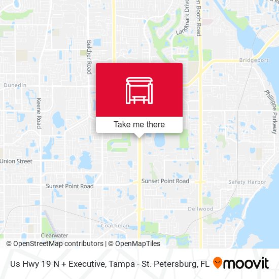 Us Hwy 19 N + Executive map