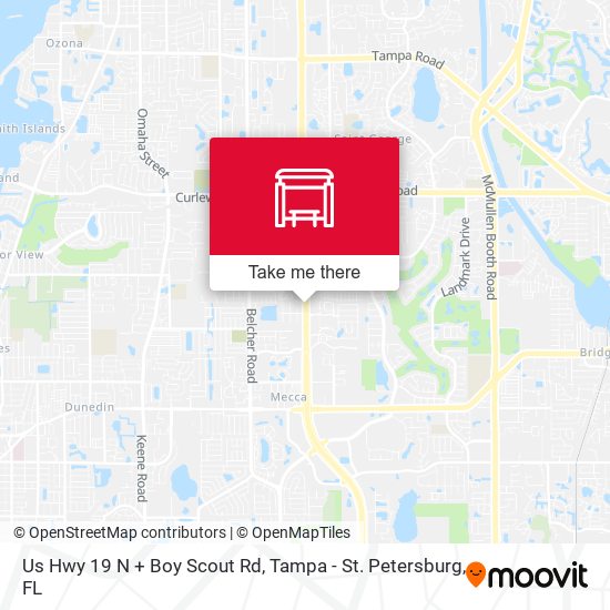 Mapa de Us Hwy 19 N + Boy Scout Rd