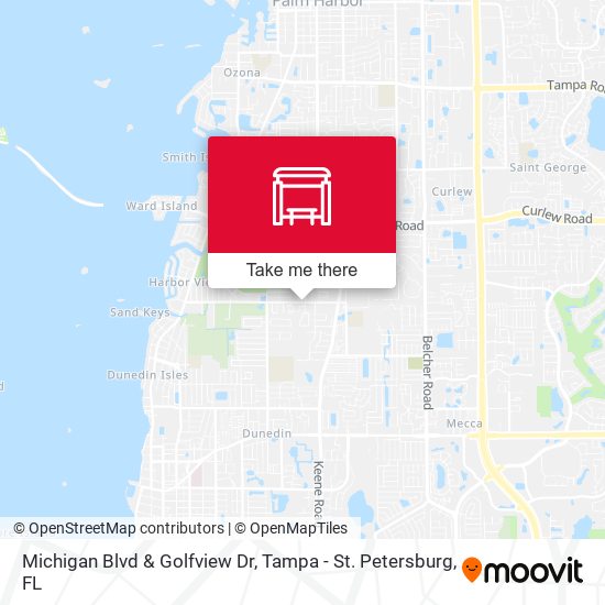 Michigan Blvd & Golfview Dr map