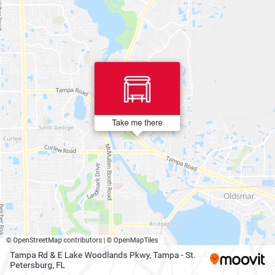 Tampa Rd & E Lake Woodlands Pkwy map